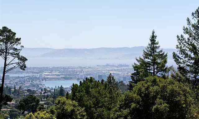 View of the San Francisco Bay from the upper terrace