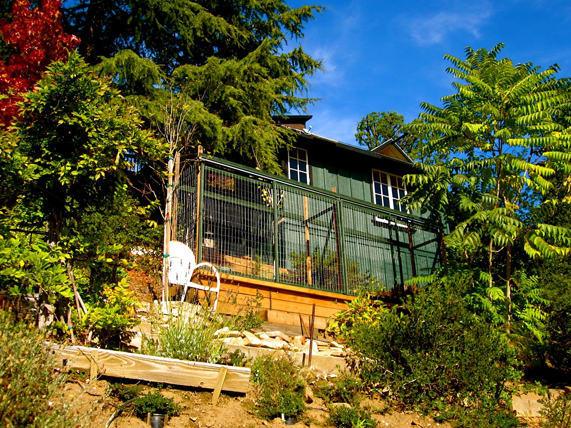 Green ADU on a slope with a long planted deck