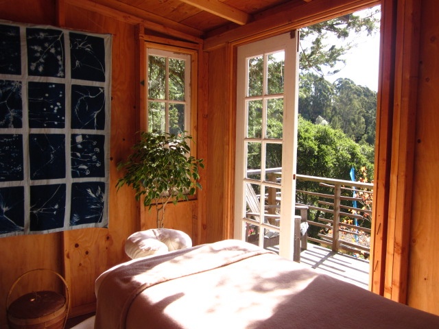 Cedar-lined interior with French doors to a treetop deck